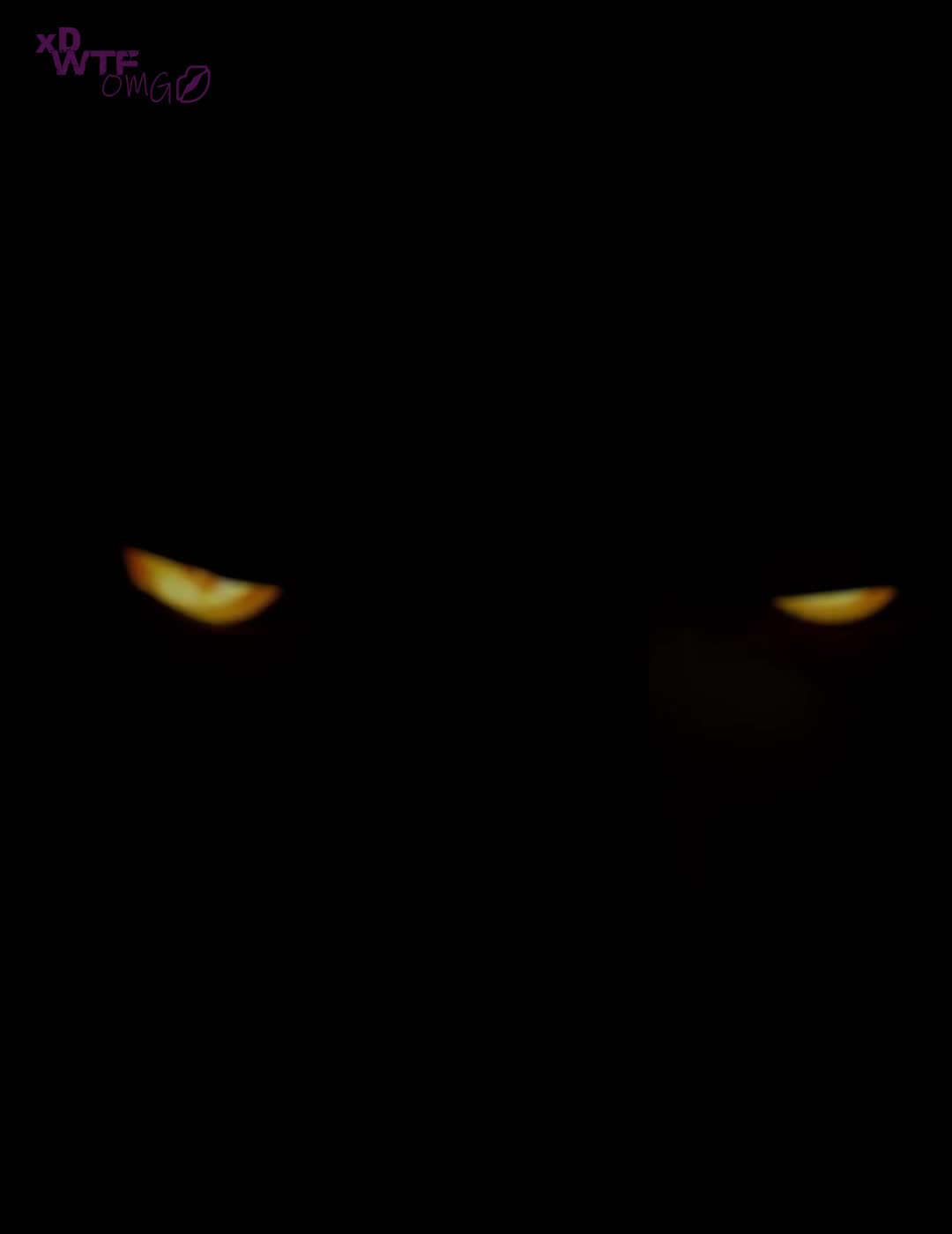 Rule34 – 1futa 1girl 1girl1futa 1girls ahe_gao ahegao ahri_(league_of_legends) asmr background_noise big_ass big_breasts big_penis dick dickgirl emoji erection failure futa_on_female futanari hypnosis large_ass large_breasts large_penis mind_control nude nude_female nude_futanari paizuri quiet_sex titjob tongue tongue_out video xdwtfomg