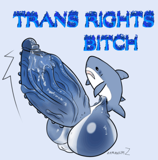 Rule 34 – animated animated blahaj huge cock hung lgbt massive penis pride shark shark fin shark teeth tagme text trans rights transgender zeraniumz | 12689138