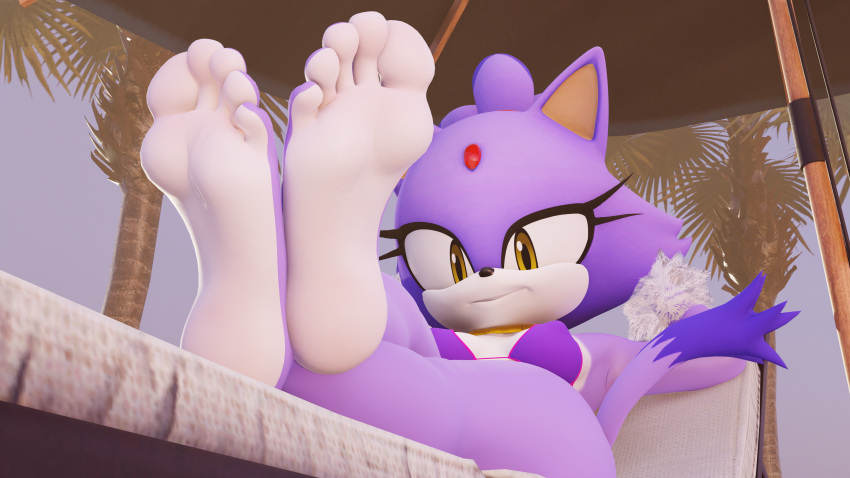 Rule 34 – 2024 3d (artwork) absurd res anthro barefoot bikini bikini top blaze the cat breasts clothing digital media (artwork) domestic cat feet felid feline felis female foot fetish foot focus fur hi res looking at viewer mammal multicolored body multicolored fur purple body purple fur sega smile smiling at viewer soles solo sonic (series) sonic the hedgehog (series) swimwear twintails3d two-piece swimsuit two tone body two tone fur white body white fur yellow eyes | 12557867