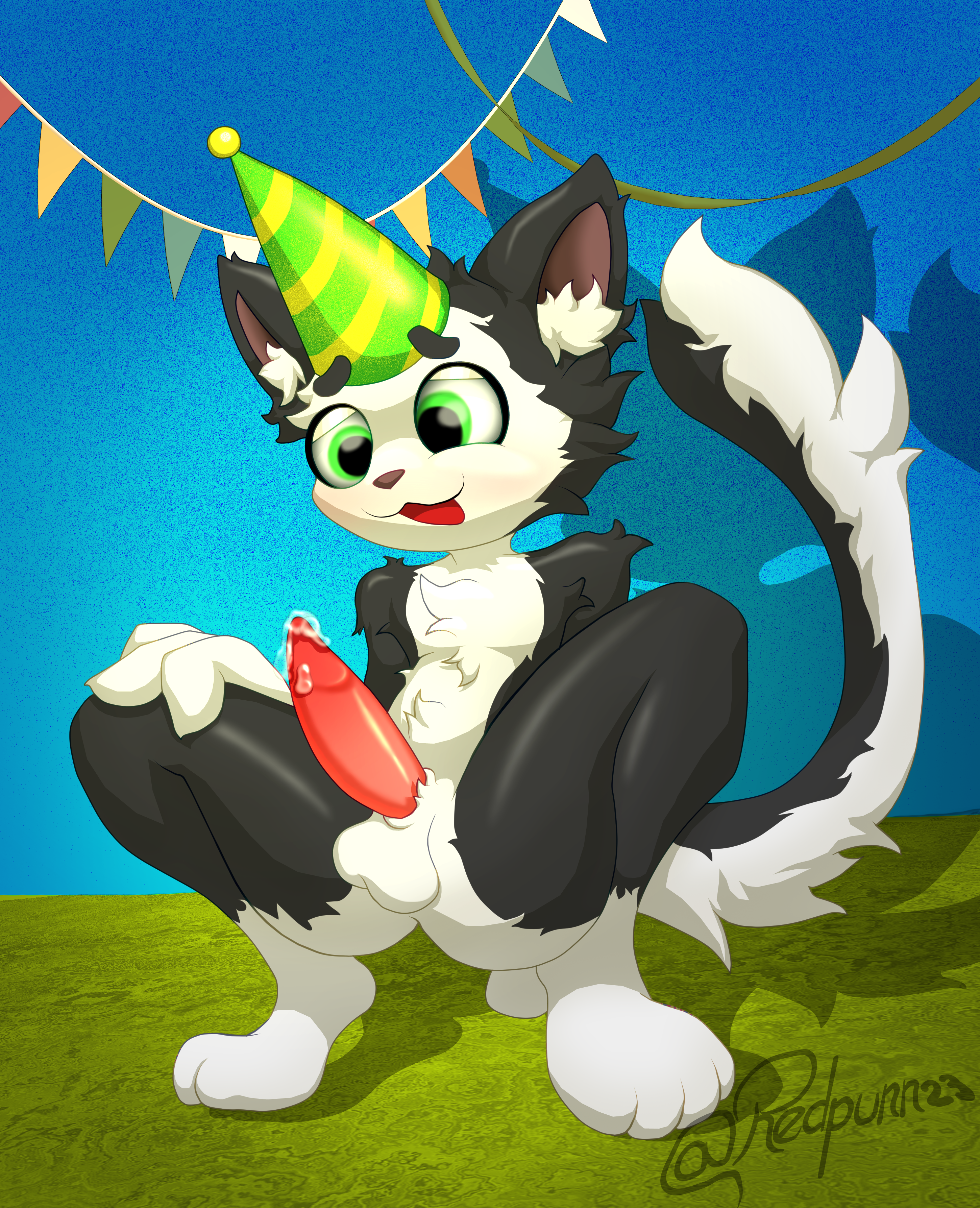 Rule34 – anthro birthday black_body black_fur cat_ears cat_tail catboy cock dick domestic_cat erect_penis erection felid feline feline_genitalia feline_penis felis funny_face fur furry furry_male furry_only gay genital_fluids genitals green_eyes happy_birthday mammal open_legs party party_hat penis precum precum_drip precum_on_penis redpurr spread_legs tuxedo_cat white_fur yaoi