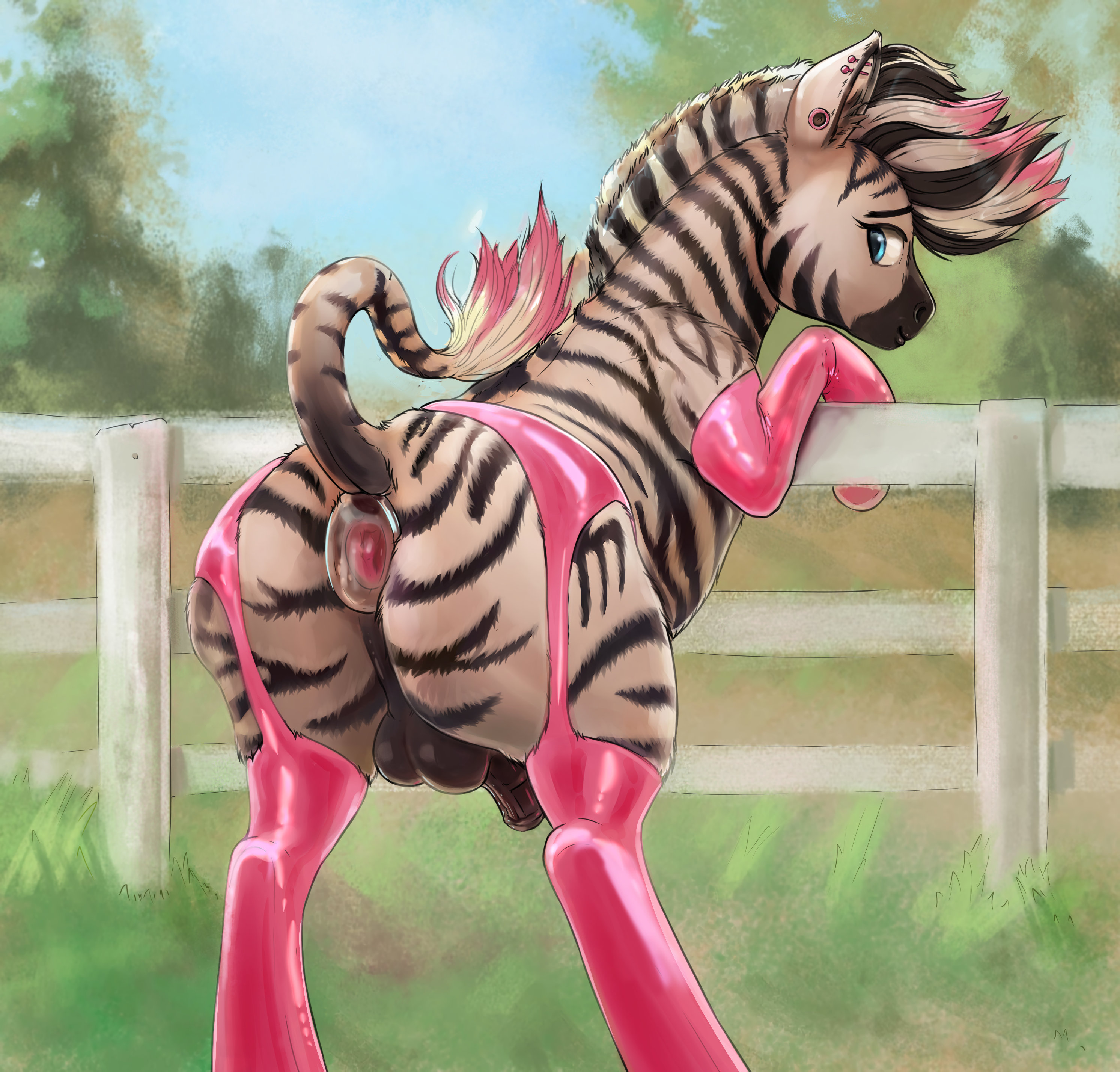 Rule34 – anal anal_sex anus banana_(alex_the_zebra) buttplug buttplug_in_ass buttplug_insertion clothing ear_piercing equid equine feral fluffy furiousart gaping gaping_anus genitals inviting_to_sex latex latex_clothing latex_legwear latex_stockings legwear looking_back male mammal object_in_ass penetration penis piercing plug_(sex_toy) plug_insertion presenting raised_tail sex_toy sex_toy_in_ass sex_toy_insertion small_penis solo spread_anus spreading stockings submissive submissive_male tail thick_thighs zebra