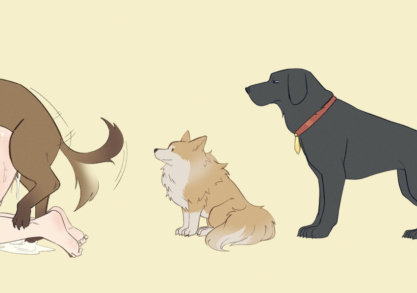 Rule 34 – canine cum cum pooling curled toes lewdismug queue simple background tail wag tail wagging toe curl vibrantrida wagging tail waiting for sex waiting for turn zoophilia | 13016136