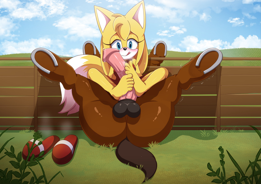 Rule 34 – foot fetish footjob project x love potion disaster sonic (series) sonic the hedgehog (series) wild horse (project x) zooey the fox | 13592057