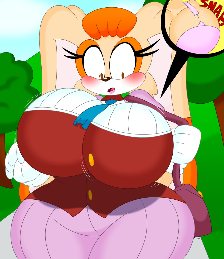 Rule 34 – 3barts big breasts blush ripped clothing shocked expression sonic (series) sonic the hedgehog (series) suprised suprised look vanilla the rabbit wide hips | 13491781