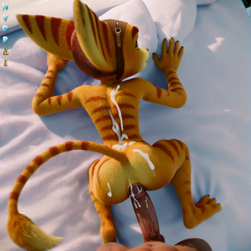 Rule 34 – 2boys after sex ai generated anal anal sex anthro brown nose covered in cum cum on back cum on body furry gay green eyes hydrai lombax lombax (ratchet and clank) male male only orange fur pov pulling out ratchet (ratchet and clank) ratchet and clank striped body stripes top-down view yellow body yellow fur | 13791535