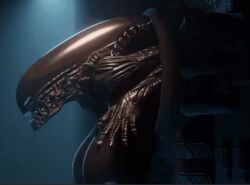 Rule 34 – alien (franchise) animated apulaz big breasts black body black skin female xenomorph huge breasts low framerate tagme tail video xenomorph | 14156080