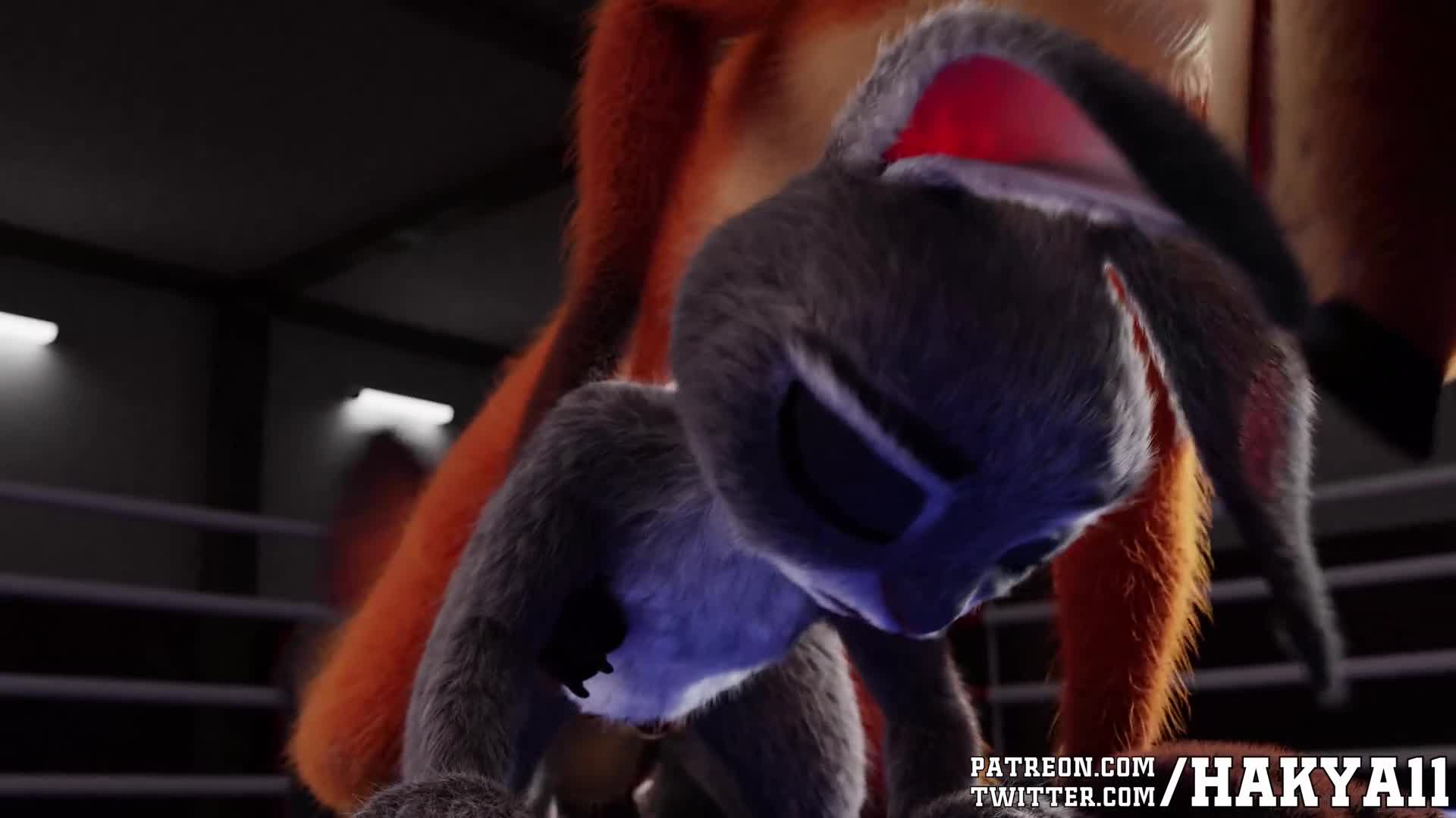 Rule 34 – 1boy 1girls 3d 3d animation all fours animal genitalia animated anthro anthro on anthro disney female fox from behind fur furry grey fur hakya11 judy hopps kneeling longer than 10 seconds longer than 30 seconds longer than 5 seconds longer than one minute male male/female nick wilde no sound orange fur penis in pussy rabbit sex shorter than two minutes straight tagme tail wagging vaginal vaginal penetration vaginal sex video wagging tail white fur zootopia | 14642273