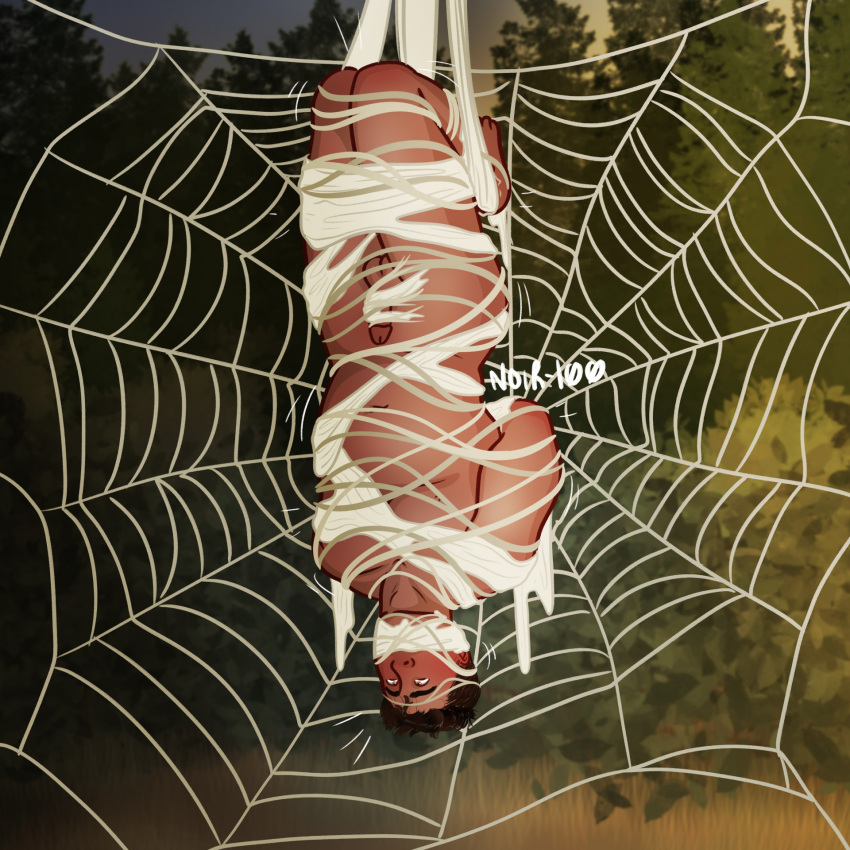 Rule 34 – 1boy bondage bound and gagged forest gagged guy in distress human male mummification noir-100 nude nude male outside peril solo male spider web story at source trapped upside-down web bondage web gag | 14354144