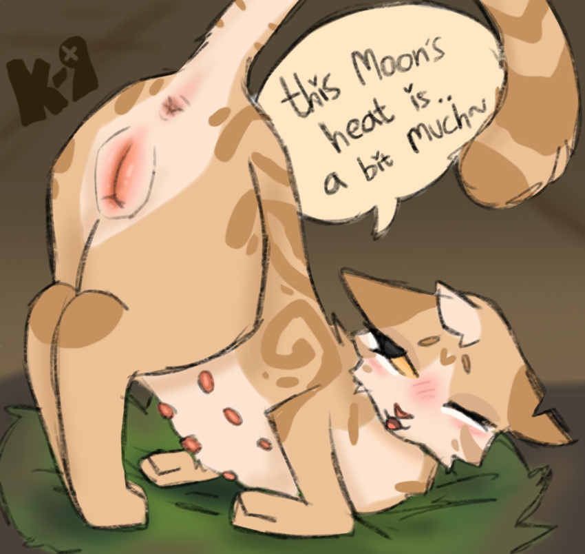 Rule 34 – animal genitalia animal nipples animal pussy beige fur bent over dialogue female cat golden fur goldenflower (warriors) in heat long tail one eye closed open mouth spiral markings warriors (cats) yellow eyes zoophillia | 14345431