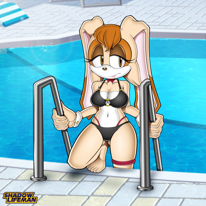 Rule 34 – milf shadowlifeman summer vanilla the rabbit | 14384760