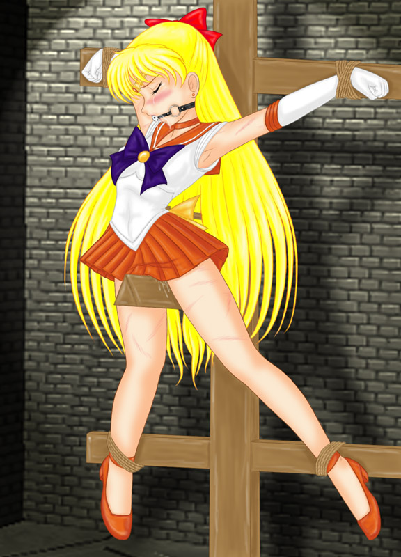 Rule 34 – ball gag bishoujo senshi sailor moon blush bondage bow breasts clothing crucifixion female female only gag gagged high heels human minako aino sailor venus saliva seimenjuu skirt small breasts smooth skin solo whiffle ball whip marks wooden horse | 78509
