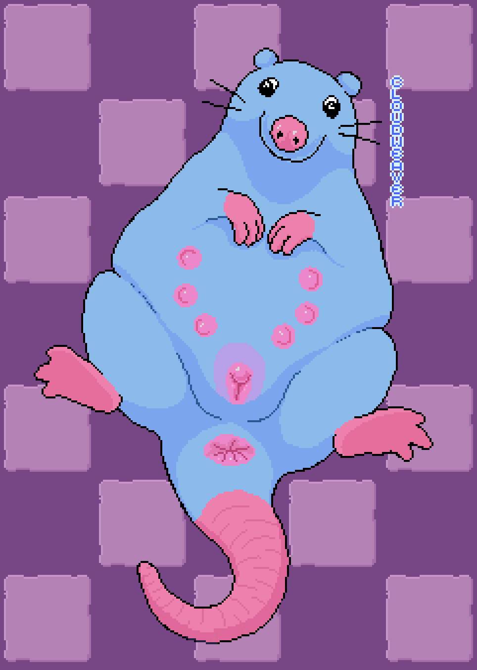 Rule 34 – animated anus blinking blue body blue fur brick (pizza tower) cloudweaver (artist) derp eyes female feral floor fur genitals hi res lying mammal multi nipple murid murine nipples on back on ground pizza tower presenting rat rat tail rodent slightly chubby solo squigglevision stupid rat (pizza tower) tail tile tile floor vibrating vulva whiskers | 14934892