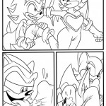 Shadow And Rouge01