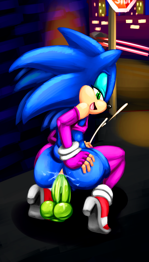 SONICTHE HEDGEHOG BITCH 2000