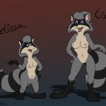 The Raccoons Еноты02