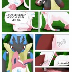 arti4000 How to tame a Fairy Pokemon21