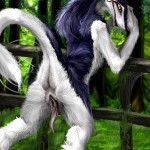 Highly Detailed Anthros25