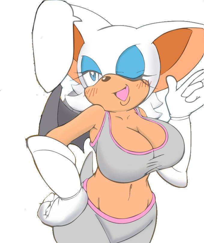 Furry. sonic the hedgehog. animated. rouge the bat. adminupdated. on Rouge the...