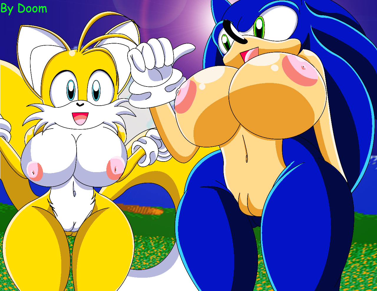 Read [doom Nobody147] Sonic And Tails Series Sonic The Hedgehog Hentai Online Porn Manga And