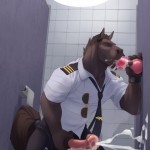 Horse gay017