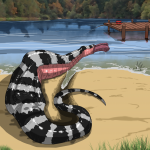 Master Taysir Snakes in a Lake2