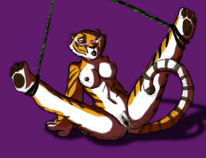 Master Tigress Kung Fu Panda00