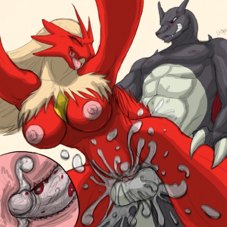 Pokemon - Blaziken Gallery.