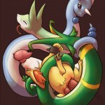 Pokemon gallery MF27