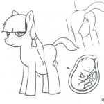 Pregnant Pony pussy414