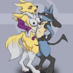 Renamon vs Lucario Digimon Pokemon0