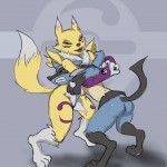 Renamon vs Lucario Digimon Pokemon1