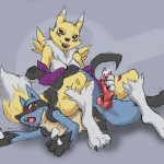 Renamon vs Lucario Digimon Pokemon3