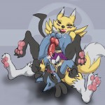 Renamon vs Lucario Digimon Pokemon4