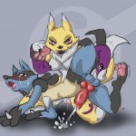 Renamon vs Lucario Digimon Pokemon5