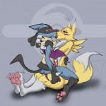 Renamon vs Lucario Digimon Pokemon7