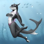 Sharks Furry Obviously199