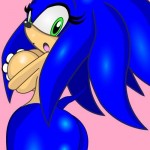 Sonic gay porn02
