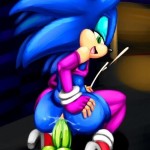 Sonic gay porn03