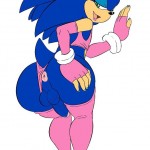 Sonic gay porn04