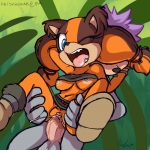Sticks the Badger Sonic Boom Sonic Toon 02