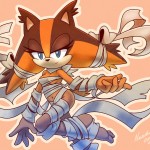 Sticks the Badger Sonic Boom Sonic Toon 27