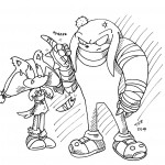 Sticks the Badger Sonic Boom Sonic Toon 30