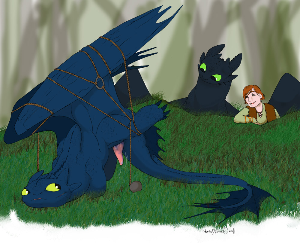 Furry. lizard guy. dragon. western. on Toothless (How to train your dragon)...