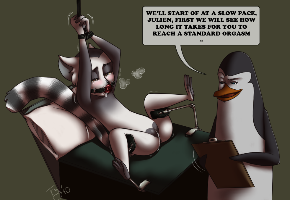 Penguin Cartoon Sex - Penguins Of Madagascar Femdom | BDSM Fetish