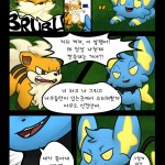 ohmuu Catch me if you can Pokemon Complete korean03