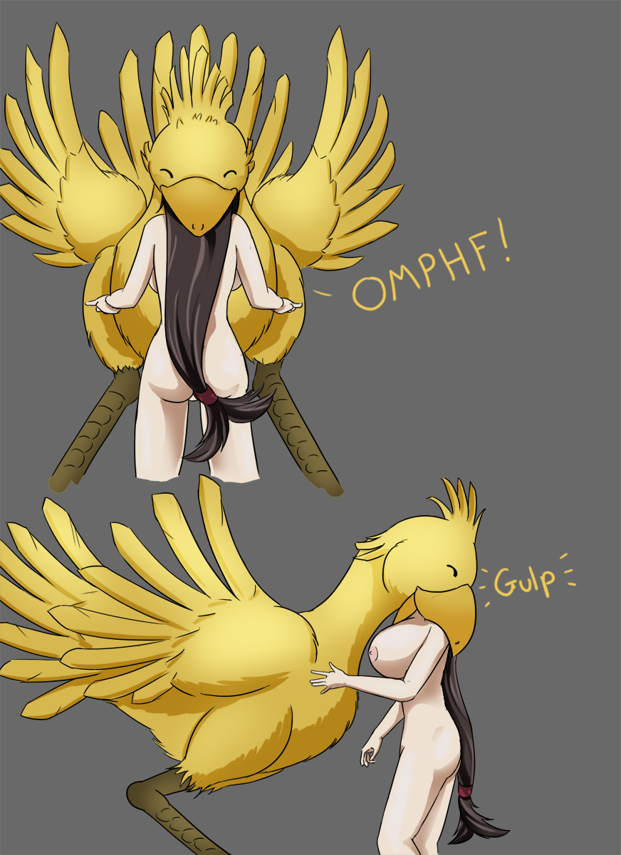 SkyLark Chocobo Fantasy Final Fant