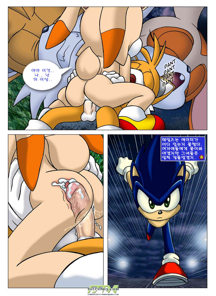 [palcomix] Sonic Xxx Project Sonic The Hedgehog Korean Hentai Online Porn Manga And Doujinshi