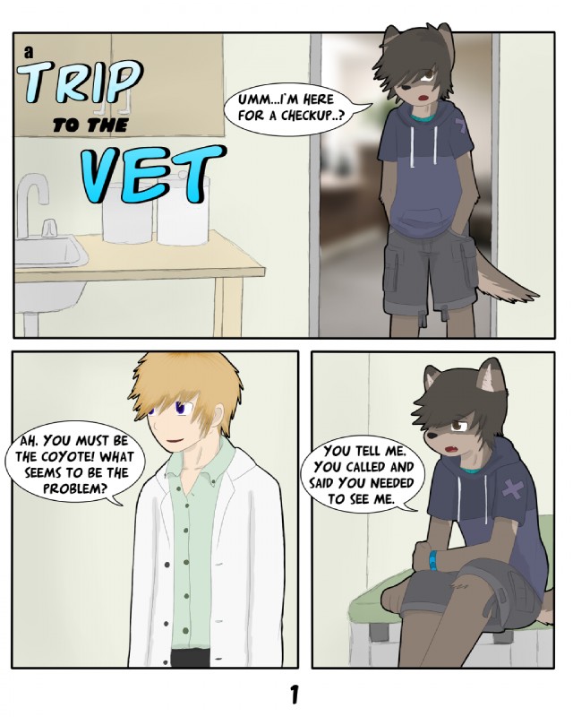 A Trip to the Vet0