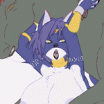 A collection of Furry Gifs55 1