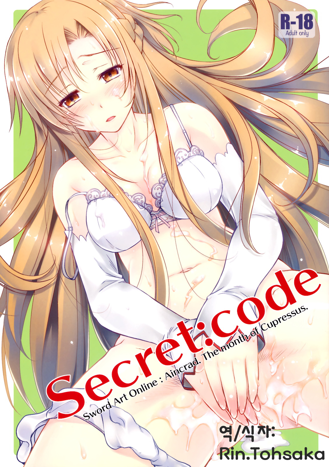 CT20 Kaiki Nisshoku Ayano Naoto Secretcode Sword Art Online korean00
